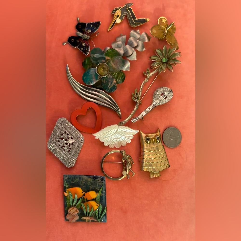 14 cool Brooches $200. Final sale